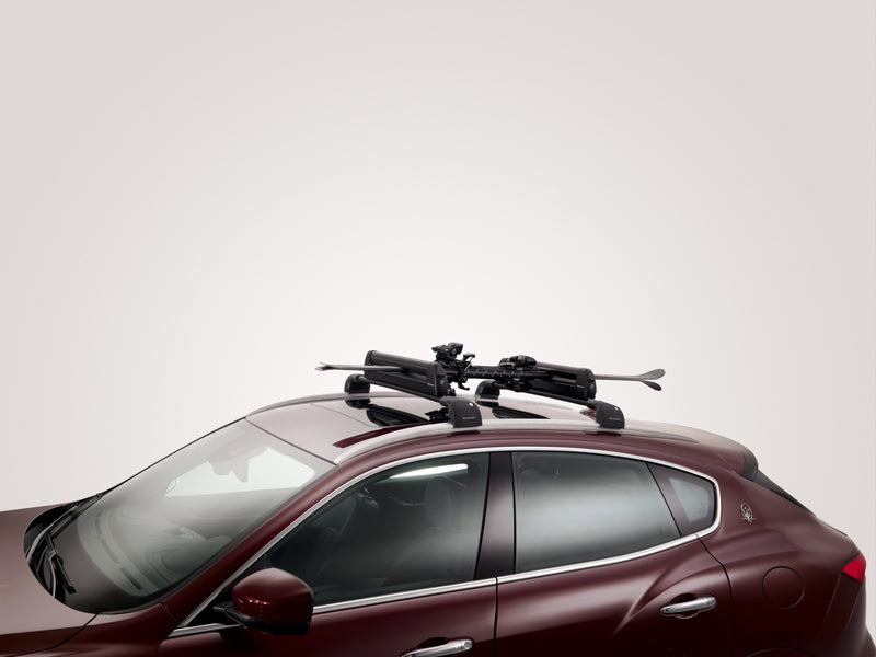 Roof Mounted Ski and Snowboard Carrier