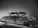 Roof Mounted Ski and Snowboard Carrier