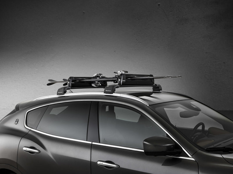 Roof Mounted Ski and Snowboard Carrier
